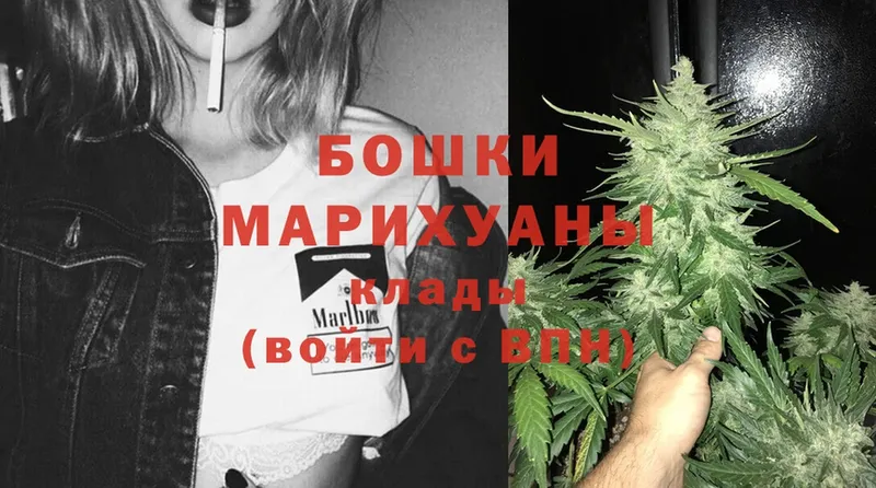 Бошки марихуана THC 21%  магазин продажи   Козловка 